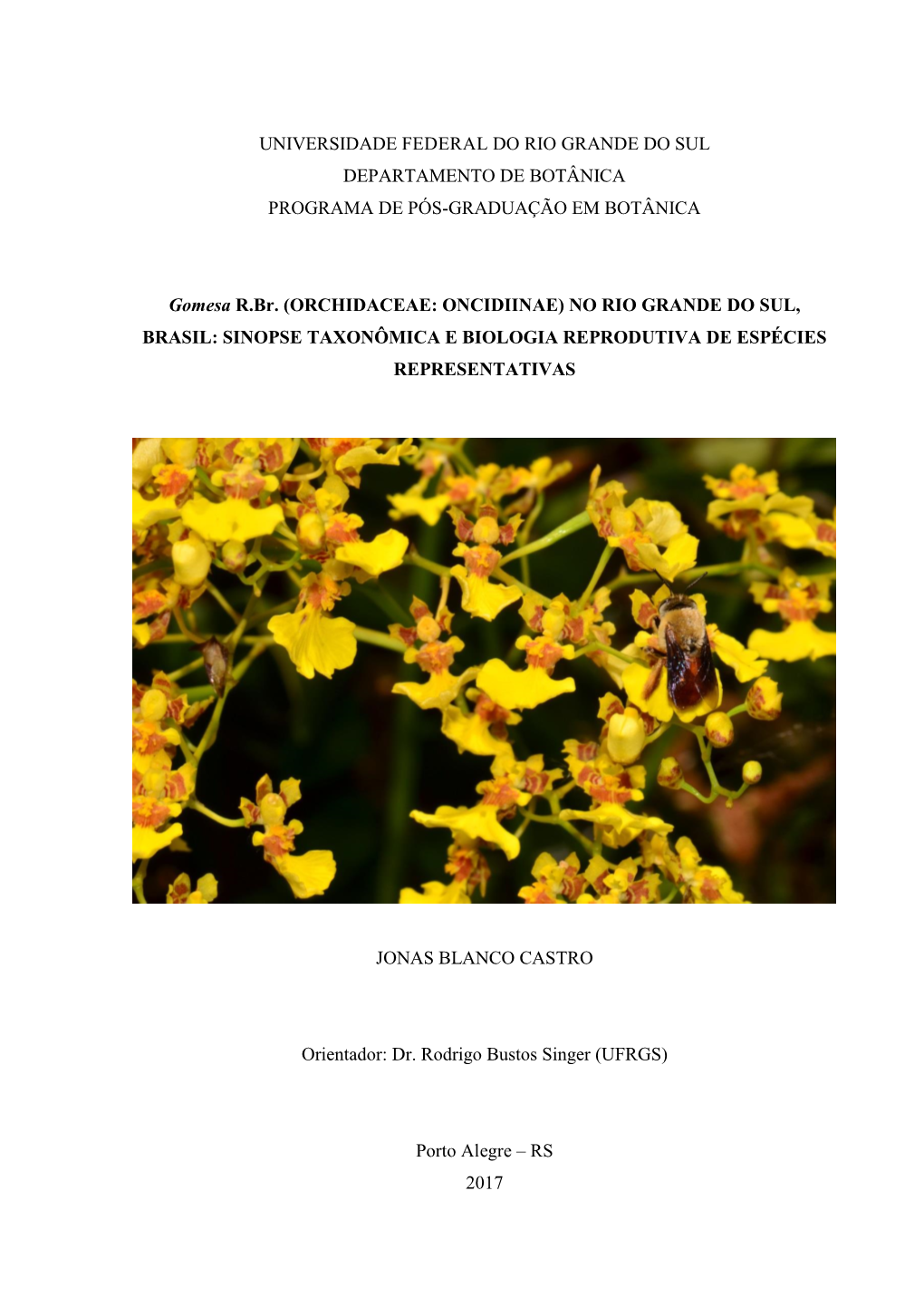 Orchidaceae: Oncidiinae) No Rio Grande Do Sul, Brasil: Sinopse Taxonômica E Biologia Reprodutiva De Espécies Representativas