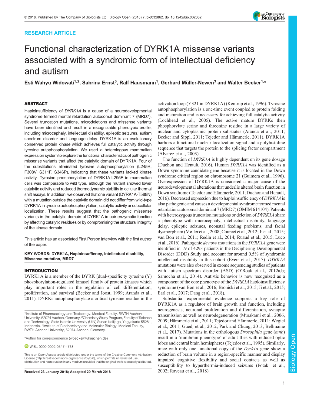 Functional Characterization of DYRK1A Missense Variants