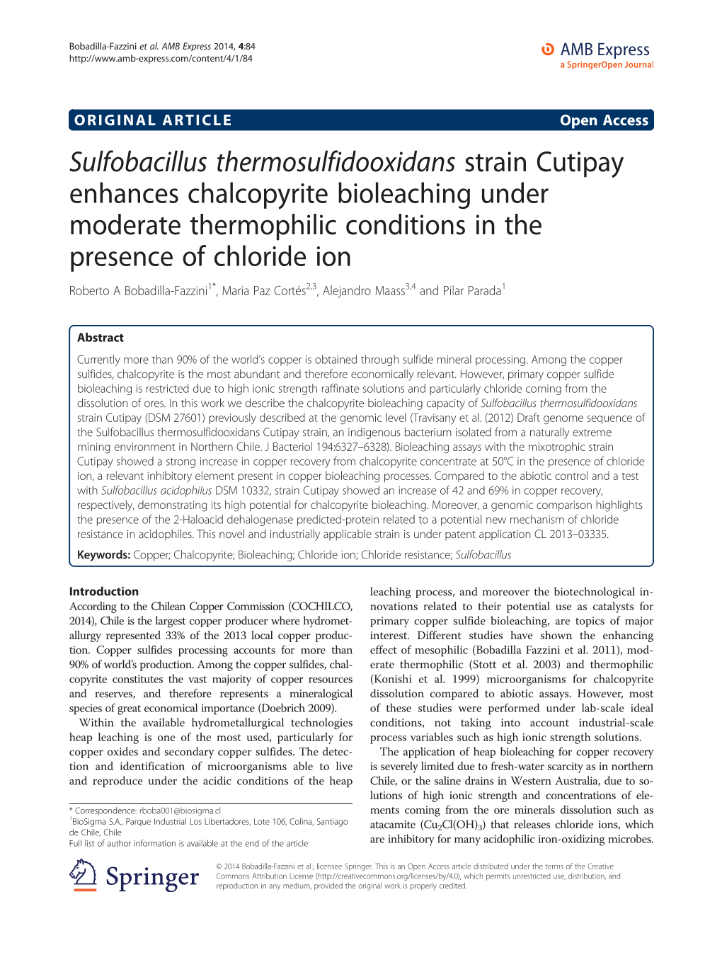 Sulfobacillus Thermosulfidooxidans