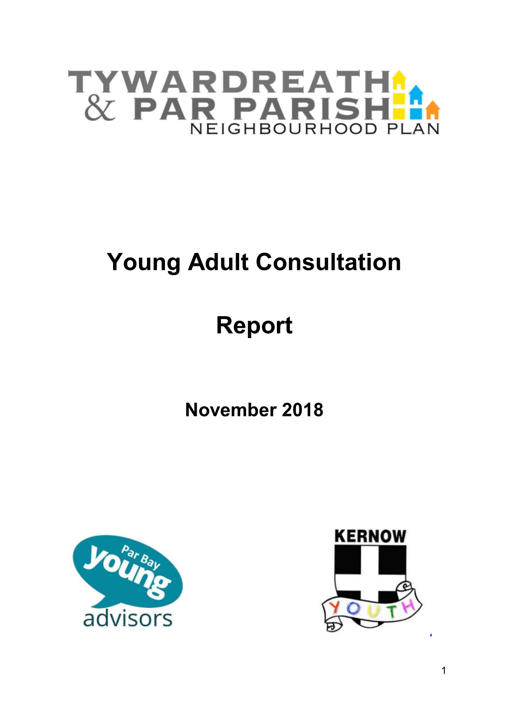 Young Adult Consultation Report