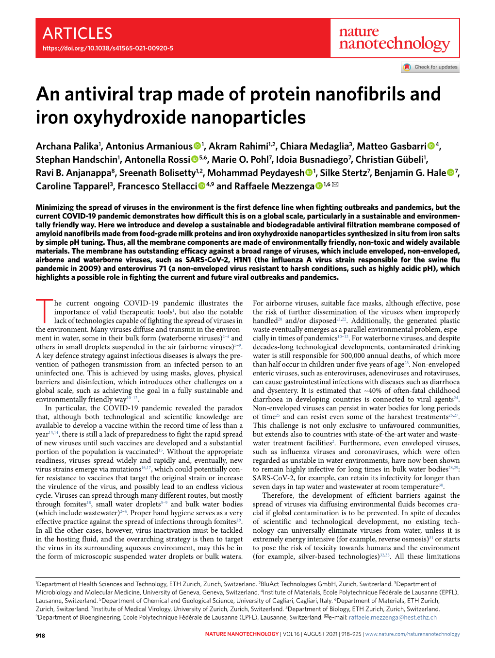 An Antiviral Trap Made of Protein Nanofibrils and Iron Oxyhydroxide Nanoparticles