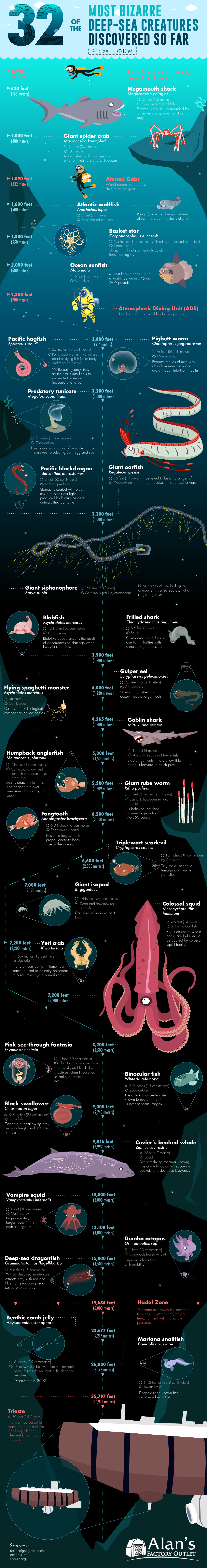 32 of the Most Bizarre Deep-Sea Creatures We've Discovered So