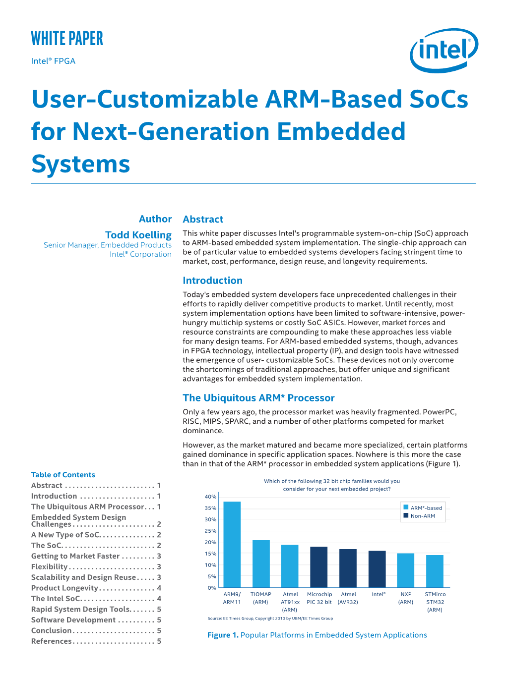 User-Customizable ARM-Based Socs for Next-Generation Embedded Systems