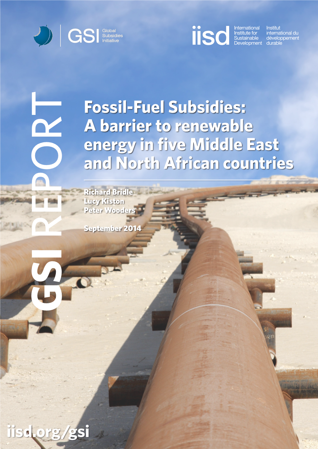 Fossil-Fuel Subsidies: a Barrier to Renewable Energy in Five Middle East and North African Countries