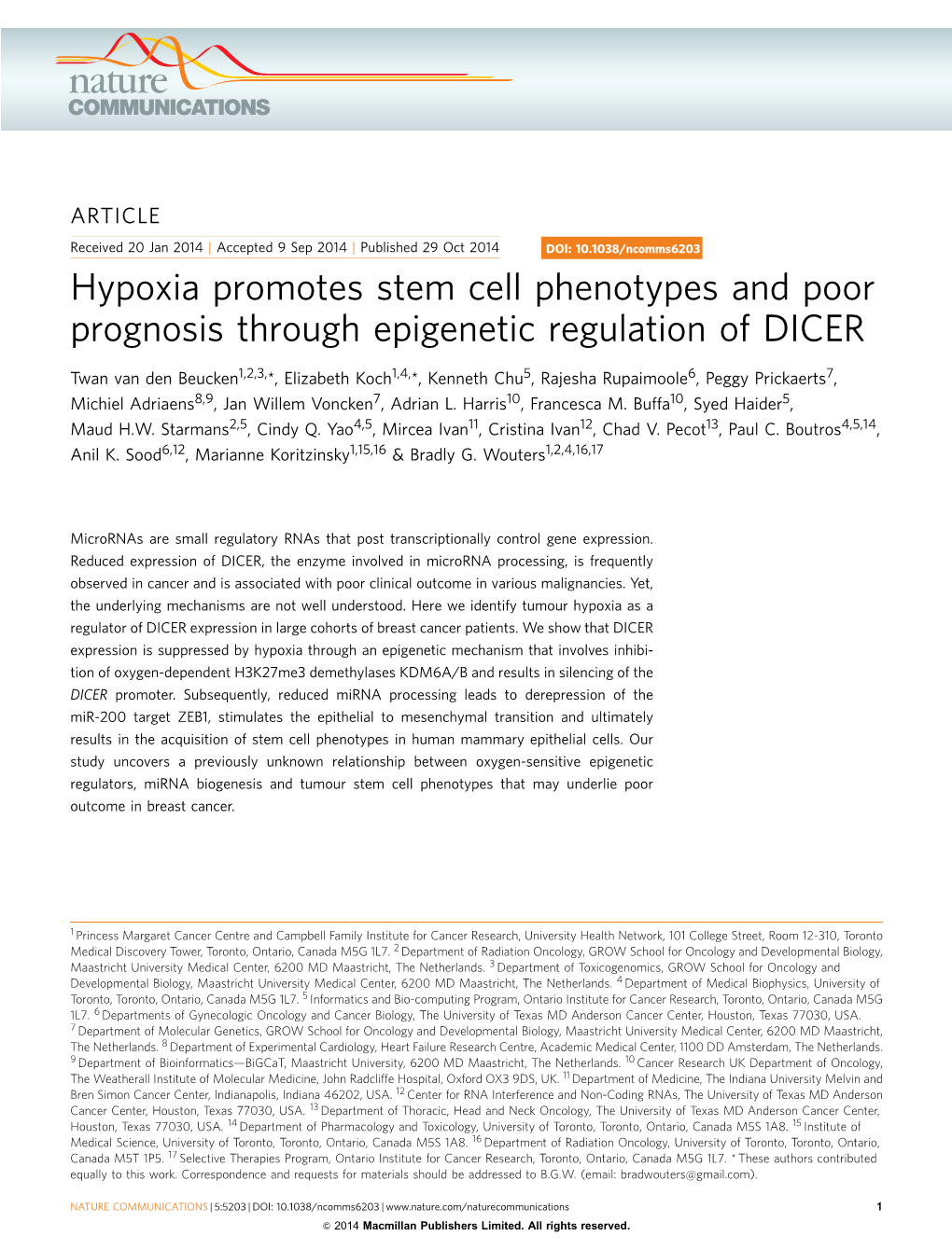 Hypoxia Promotes Stem Cell Phenotypes and Poor Prognosis Through Epigenetic Regulation of DICER