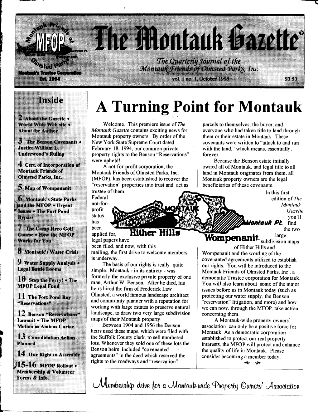 Turning Point for Montauk