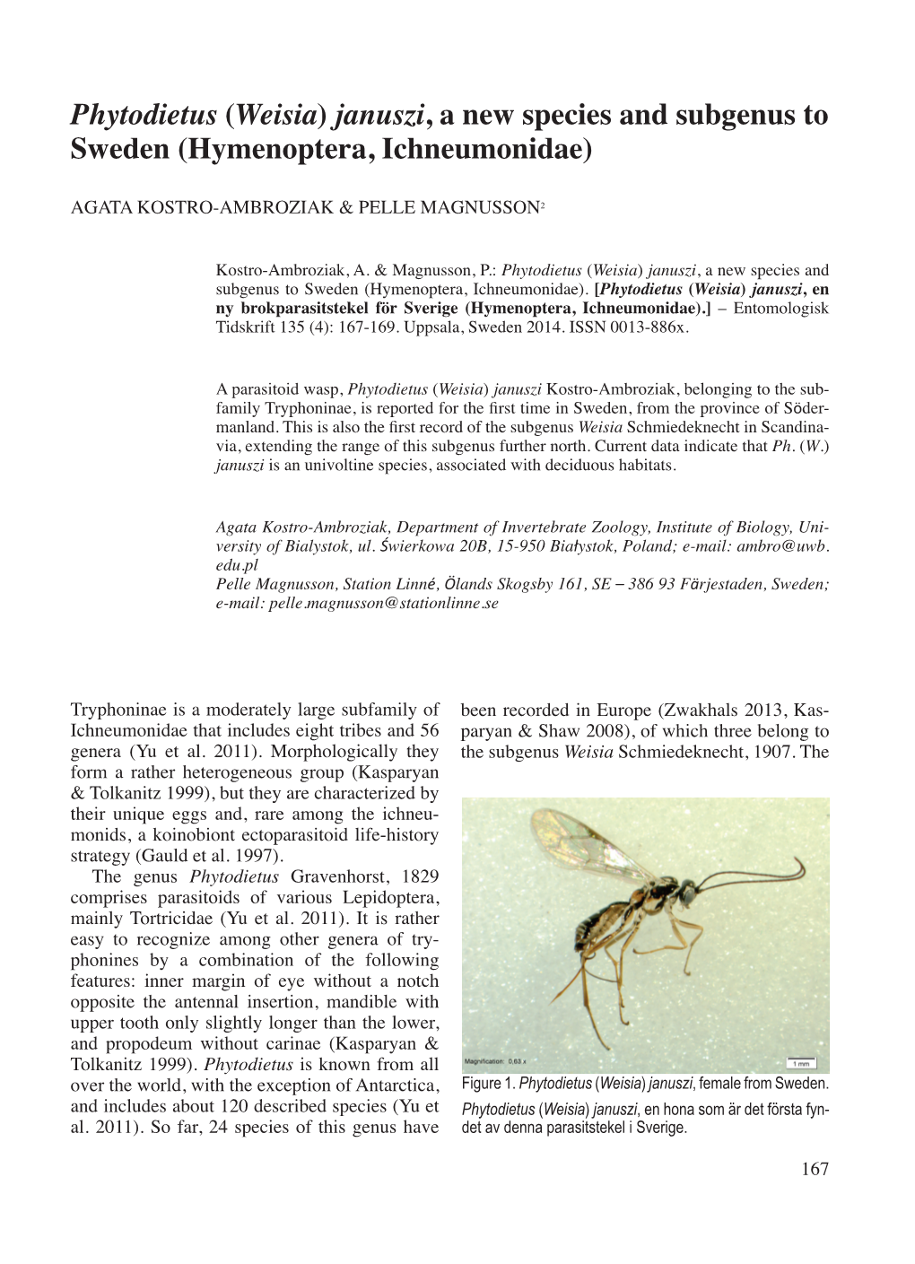 Phytodietus (Weisia) Januszi, a New Species and Subgenus to Sweden (Hymenoptera, Ichneumonidae)