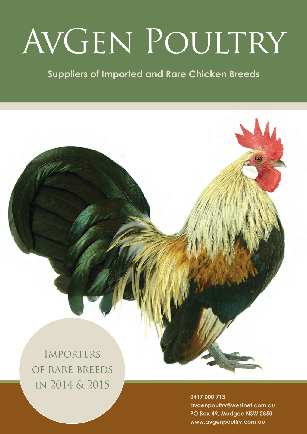 Suppliers of Imported and Rare Chicken Breeds