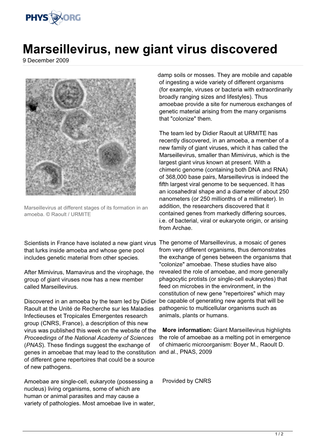 Marseillevirus, New Giant Virus Discovered 9 December 2009