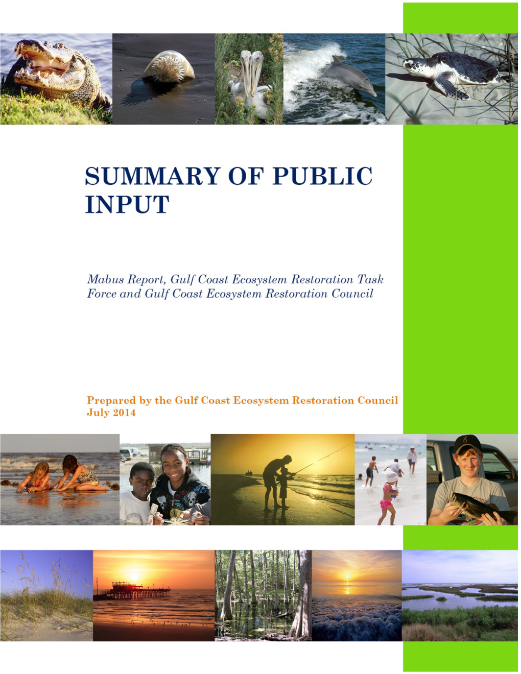 Summary of Public Input:2010-2013