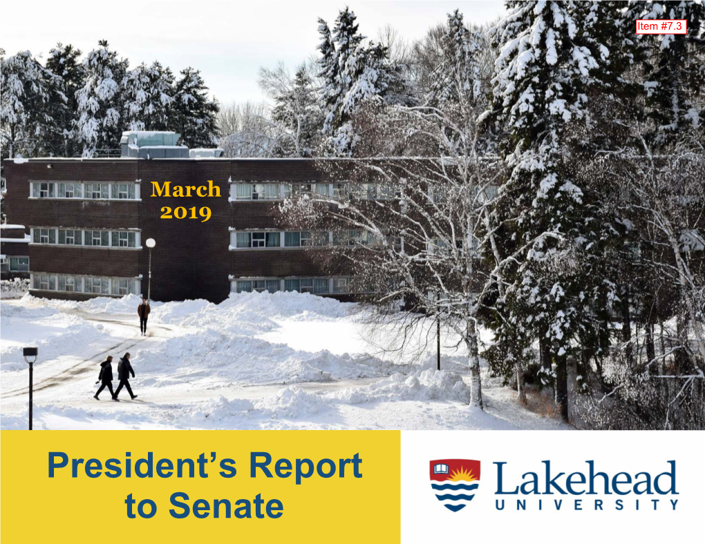 President's Report to Senate