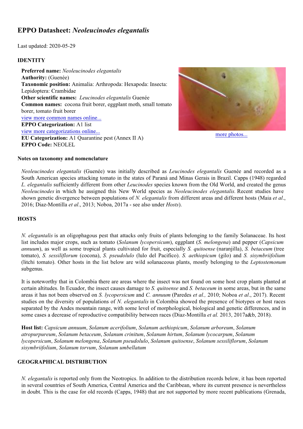 EPPO Datasheet: Neoleucinodes Elegantalis