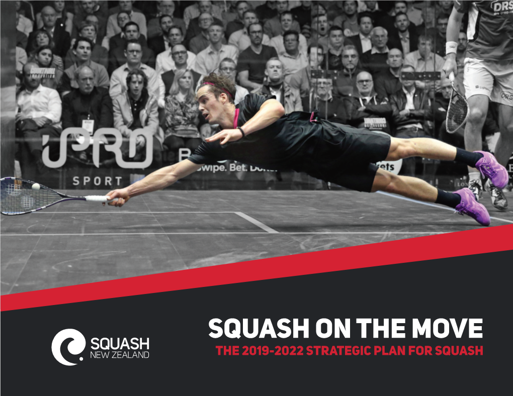 Squash on the Move Strategic Plan for 2019