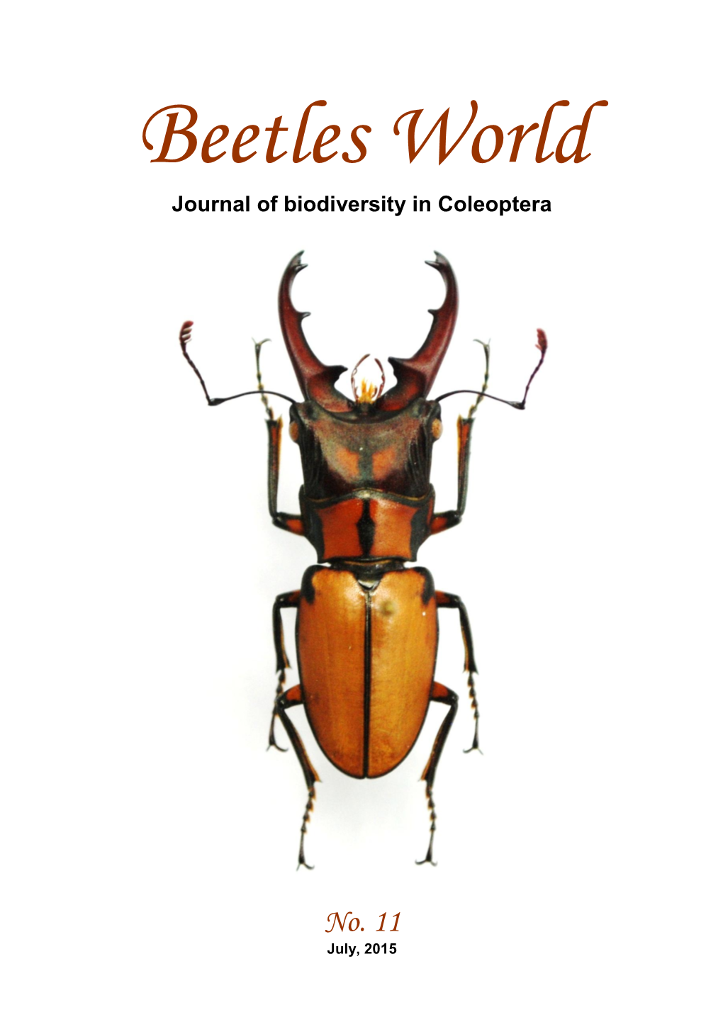 Beetles World No. 11, July 2015