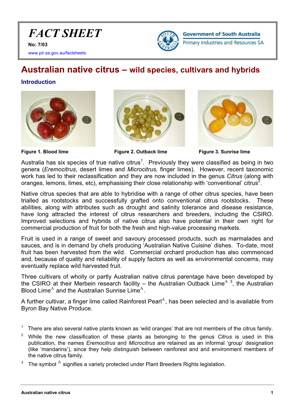 Australian Native Citrus – Wild Species, Cultivars and Hybrids Introduction