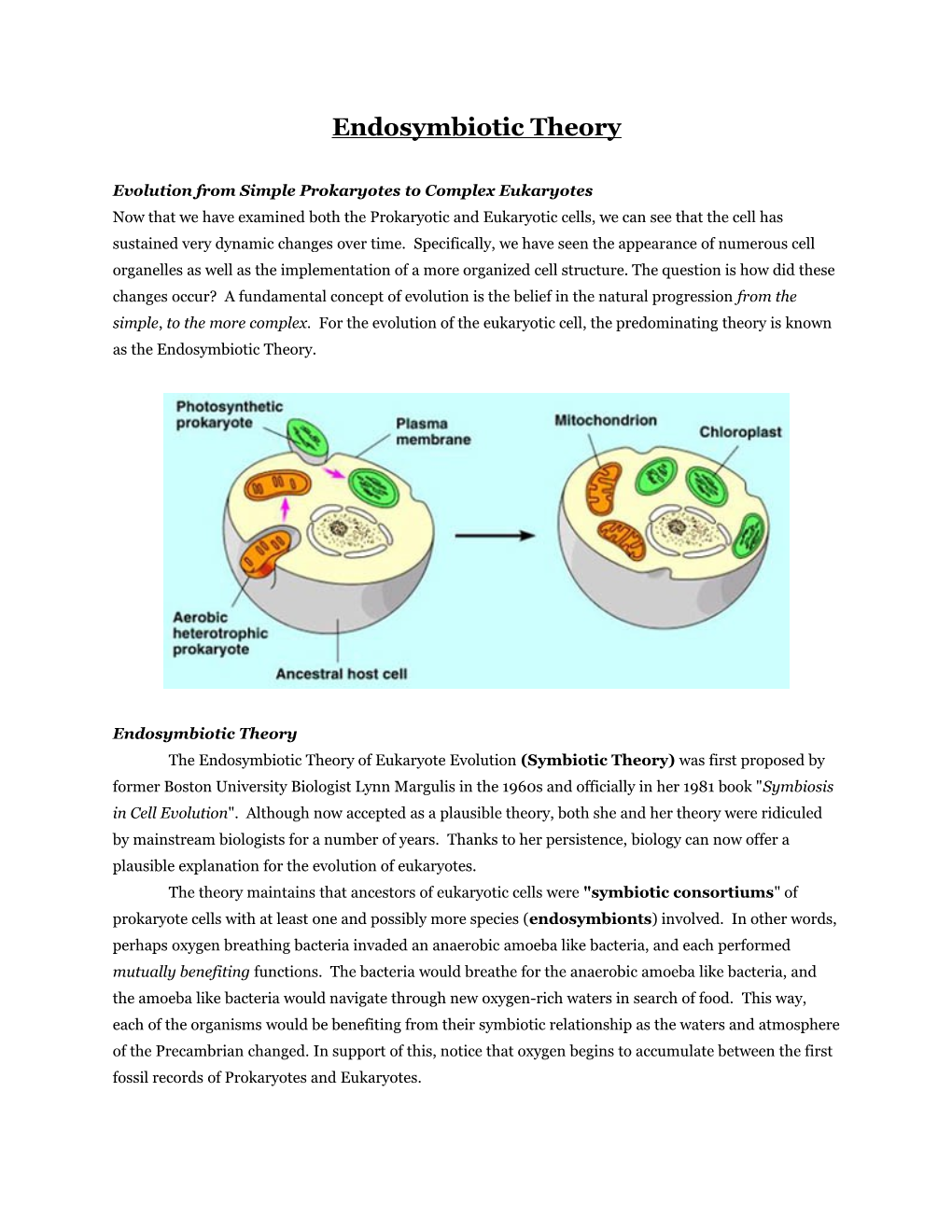 Evolution from Simple Prokaryotes to Complex Eukaryotes