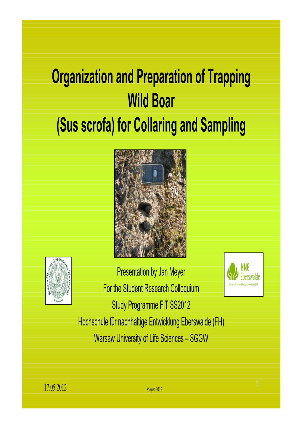 Organization and Preparation of Trapping Wild Boar (Sus Scrofa) for Collaring and Sampling