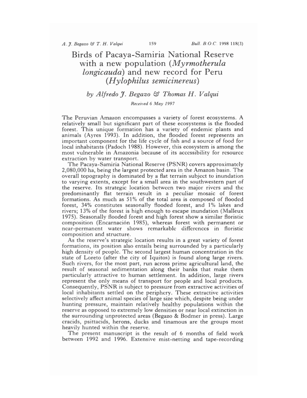 Birds of Pacaya–Samiria National Reserve with a New Population (Myrmotherula Longicauda) and New Record for Peru (Hylophilus Semicinereus) by Alfredo J