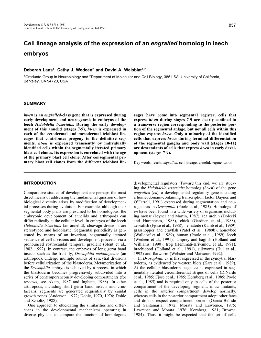 Cell Lineage Analysis of the Expression of an Engrailed Homolog in Leech Embryos