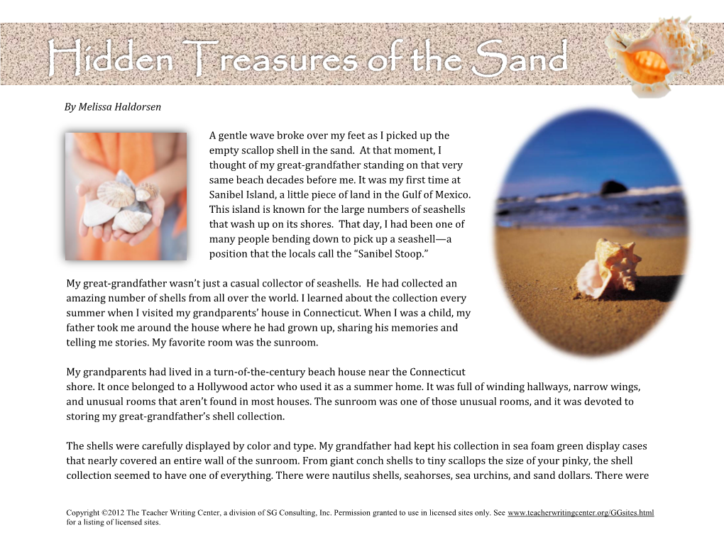 Hidden Treasures of the Sand