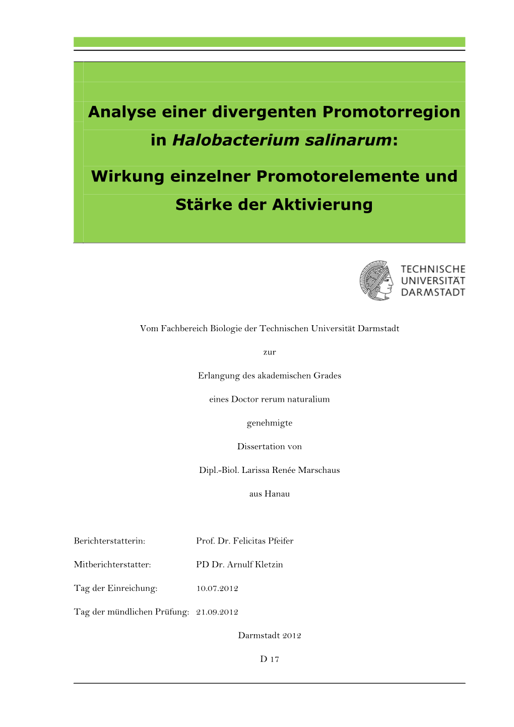 Analyse Einer Divergenten Promotorregion in Halobacterium Salinarum