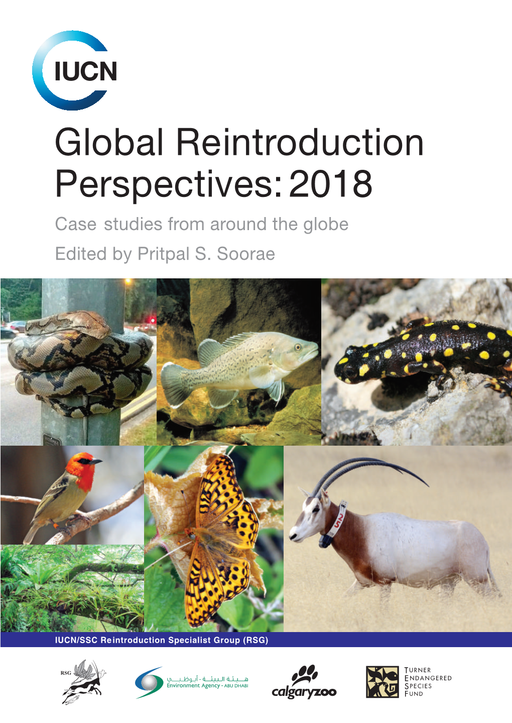 Global Re Introduction Cover 2018 Cover 1