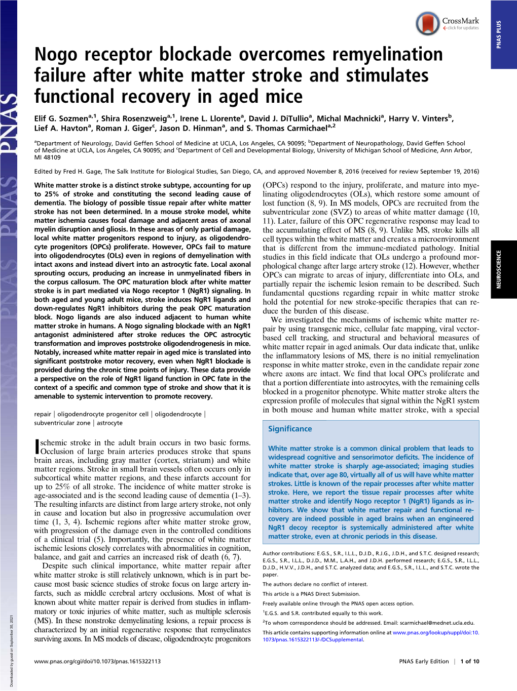 Nogo Receptor Blockade Overcomes Remyelination Failure After White Matter Stroke and Stimulates Functional Recovery in Aged Mice