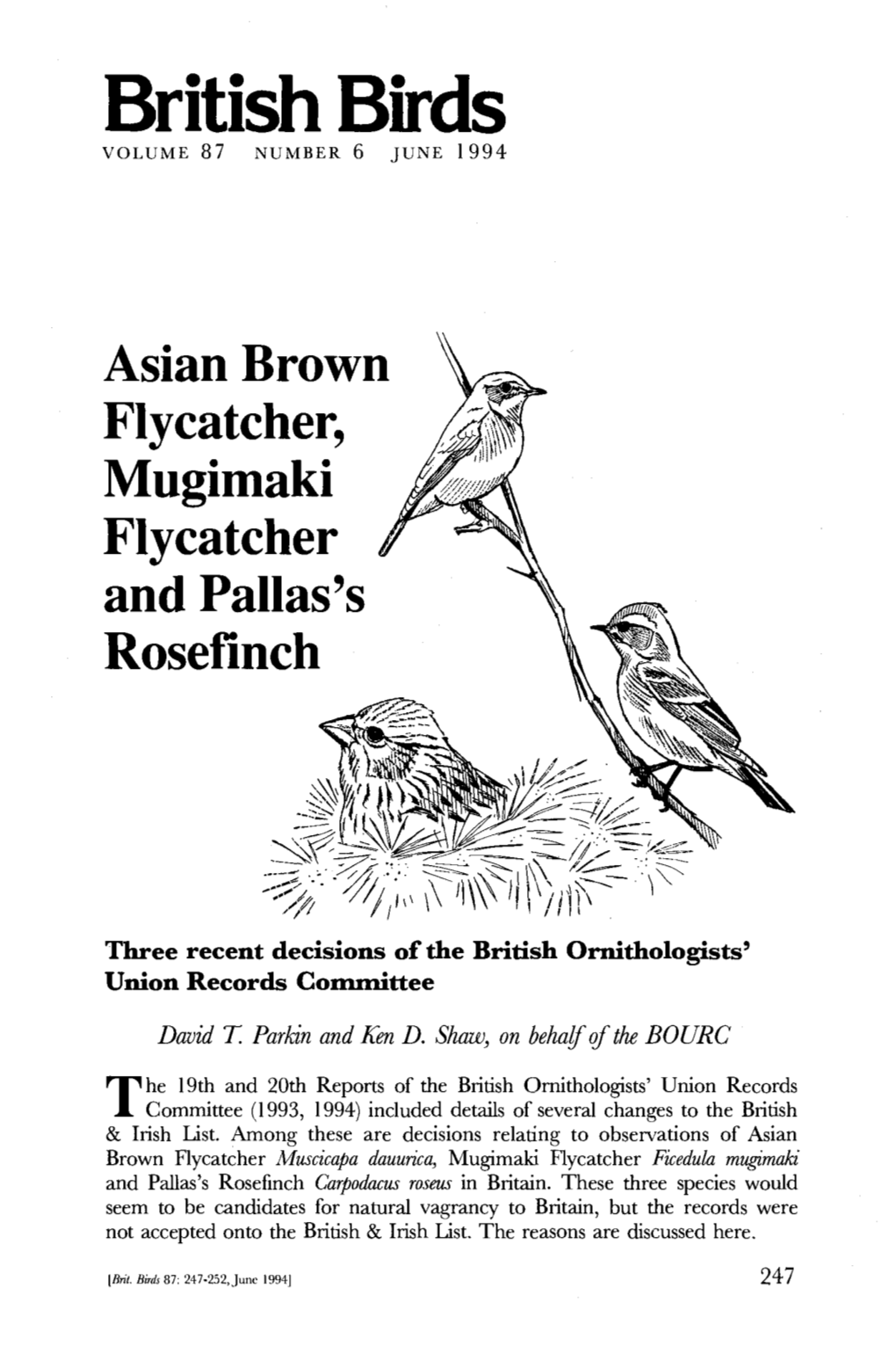 Asian Brown Flycatcher, Mugimaki Flycatcher T and Pallas's Rosefinch