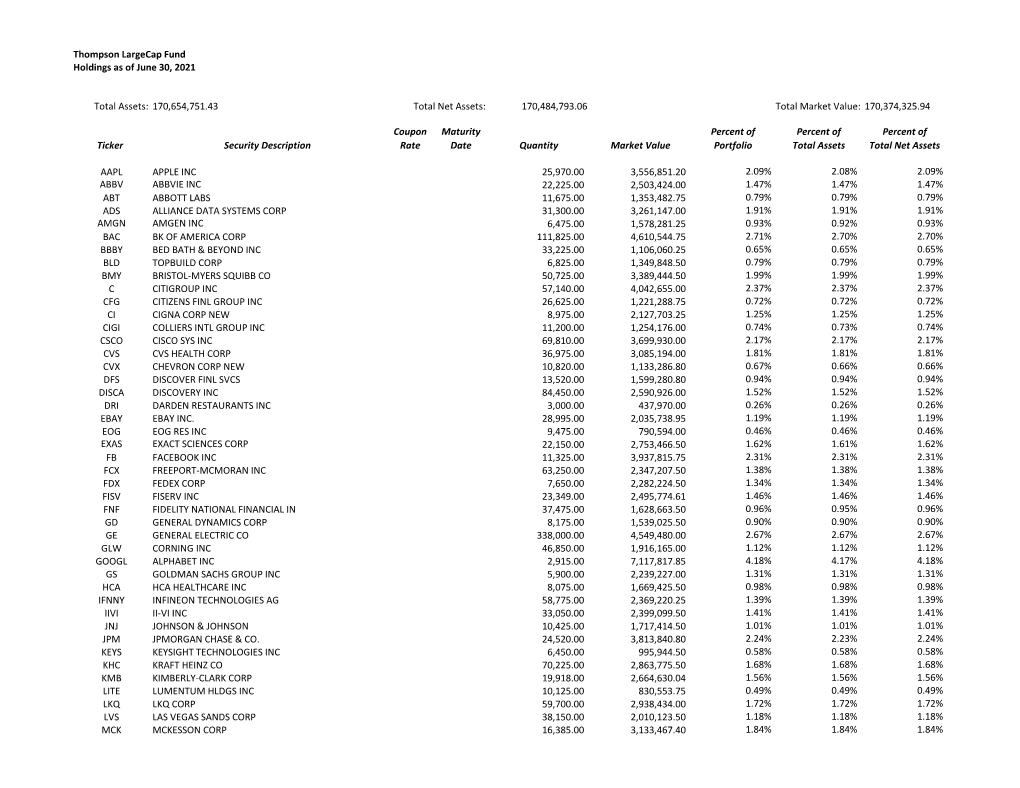 Thompson Largecap Fund THPGX Holdings