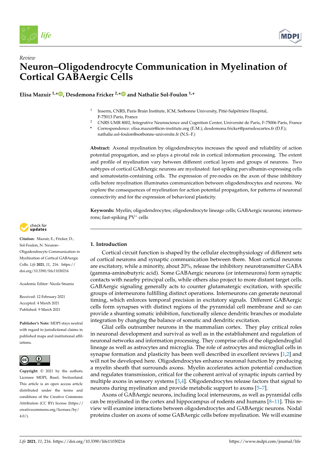 Neuron–Oligodendrocyte Communication in Myelination of Cortical Gabaergic Cells