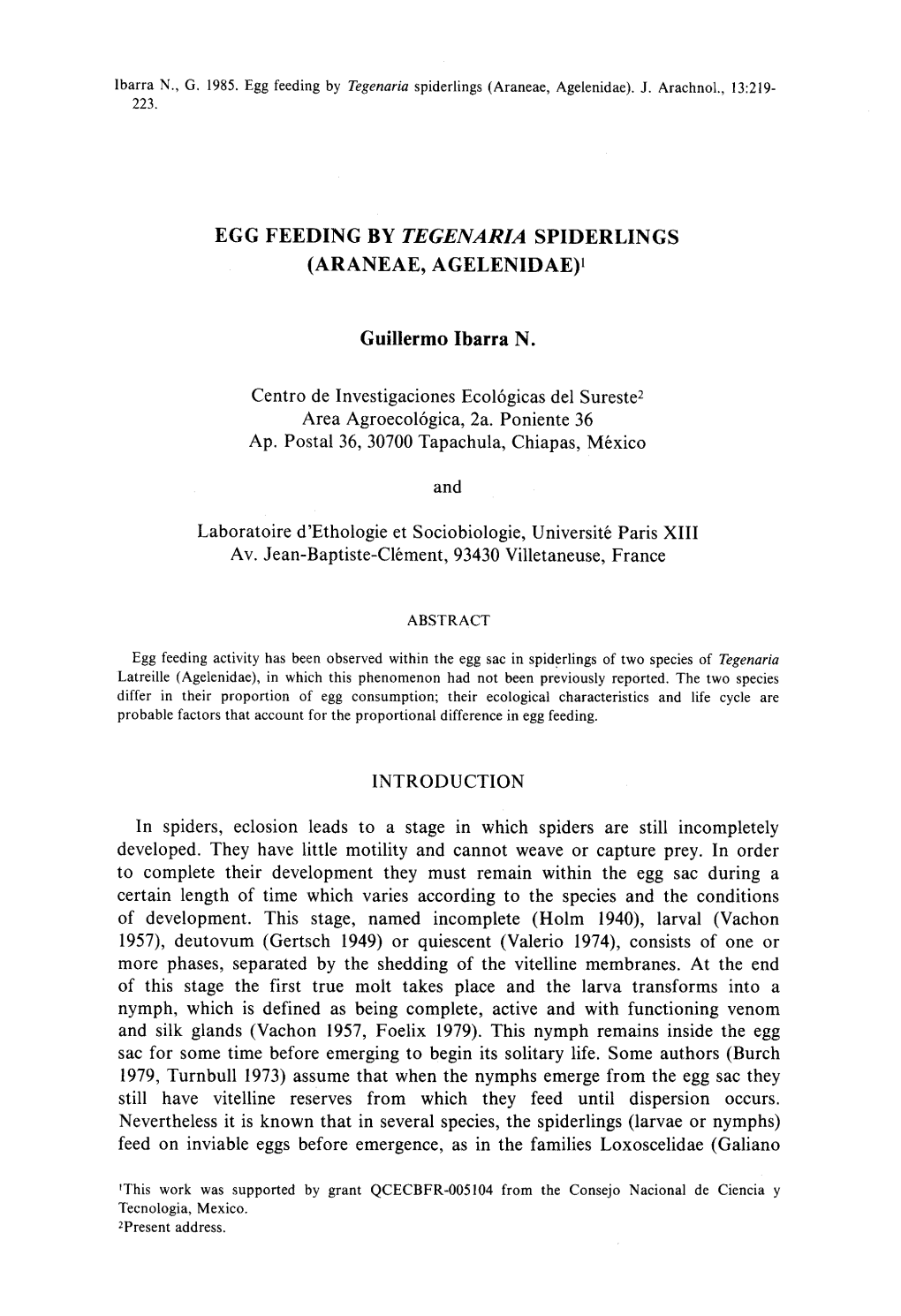 Ibarra N ., G . 1985 . Egg Feeding by Tegenaria Spiderlings