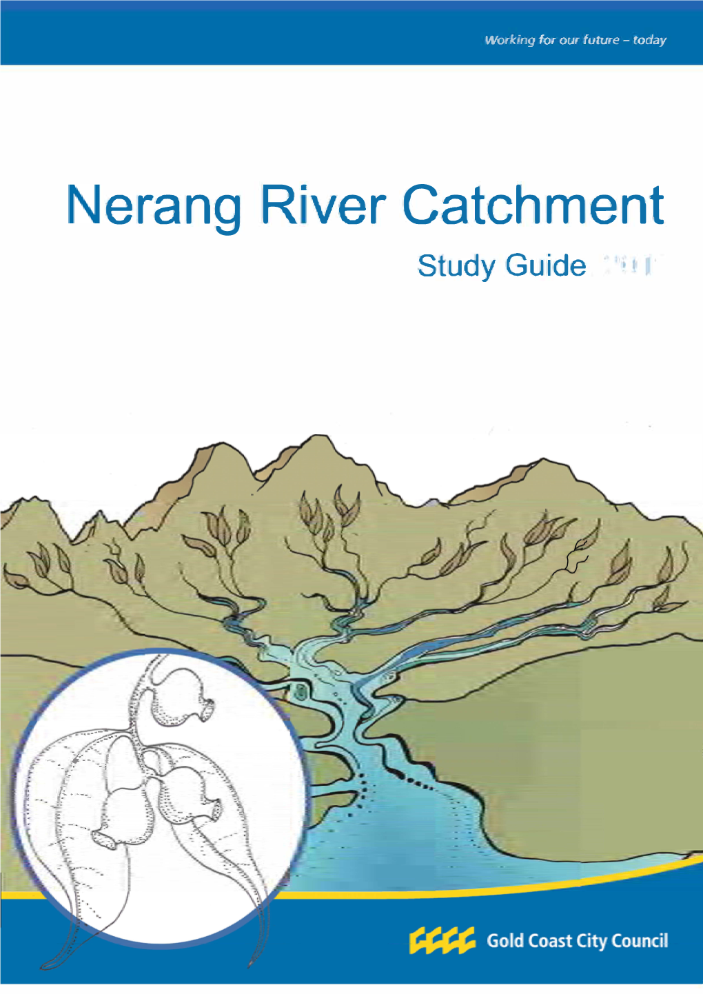 Nerang River Catchment Study Guide