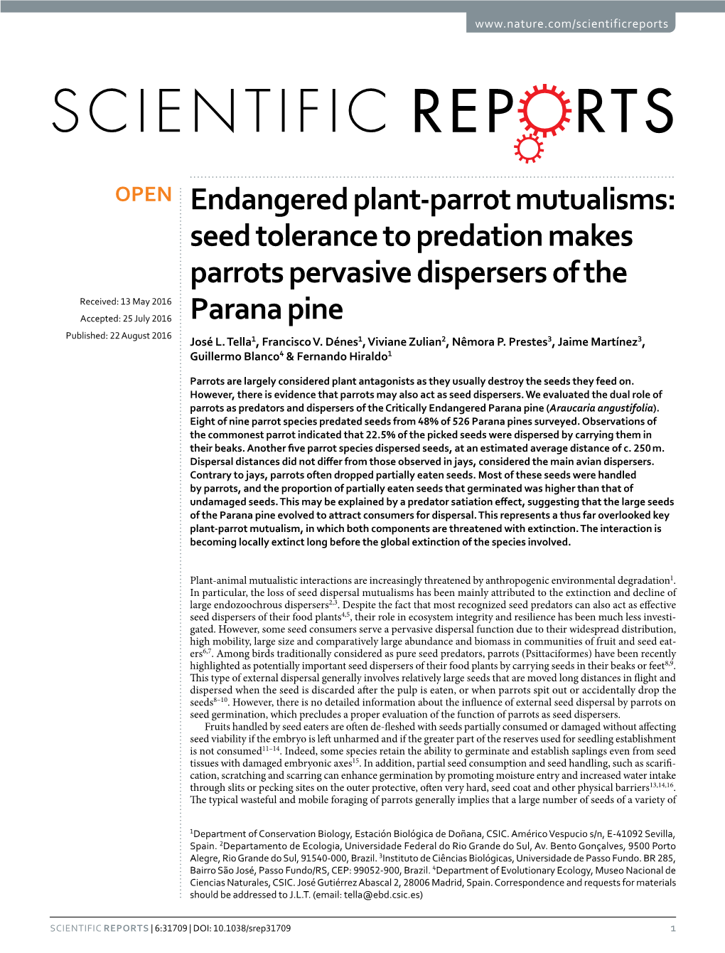 Endangered Plant-Parrot Mutualisms: Seed Tolerance to Predation Makes