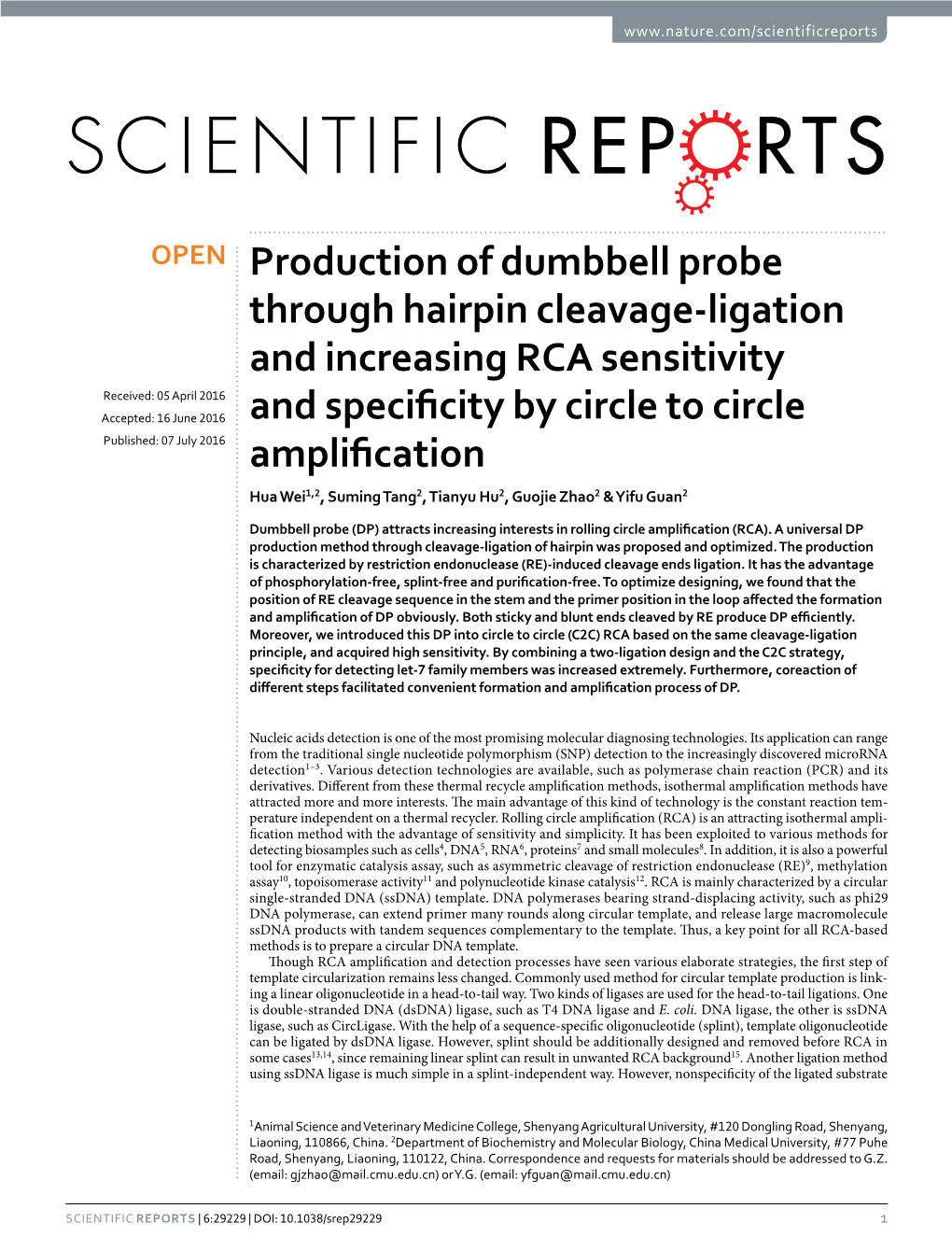 Production of Dumbbell Probe Through Hairpin Cleavage-Ligation And