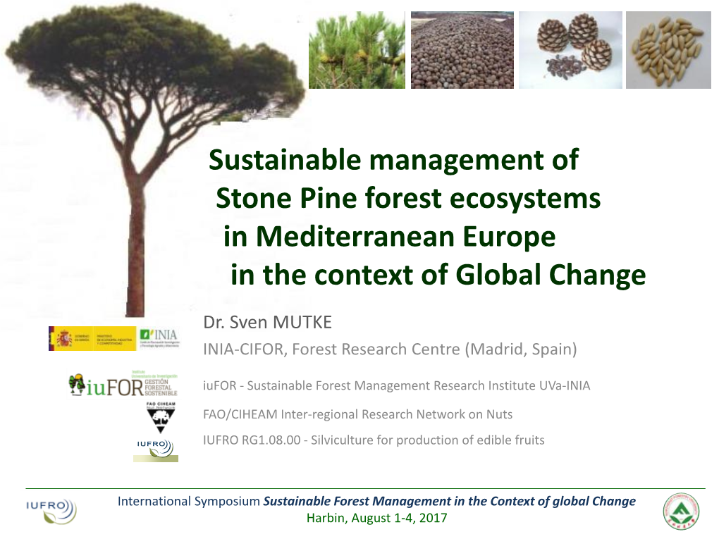 Sustainable Management of Stone Pine Forest Ecosystems in Mediterranean Europe in the Context of Global Change