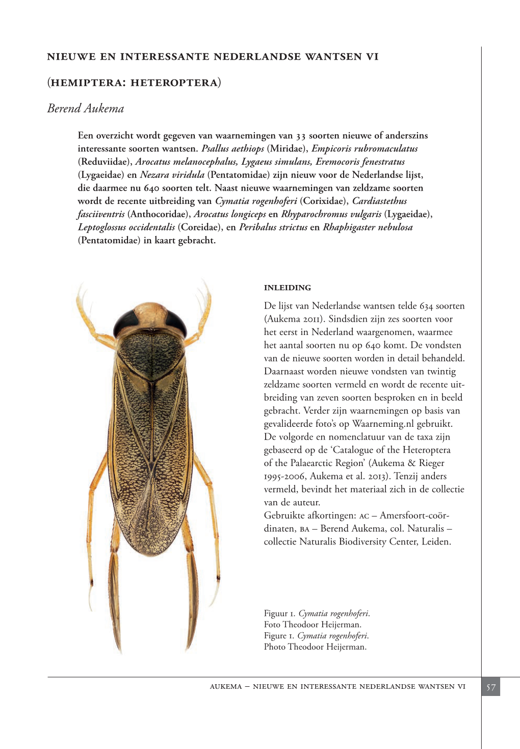 Hemiptera: Heteroptera) Berend Aukema