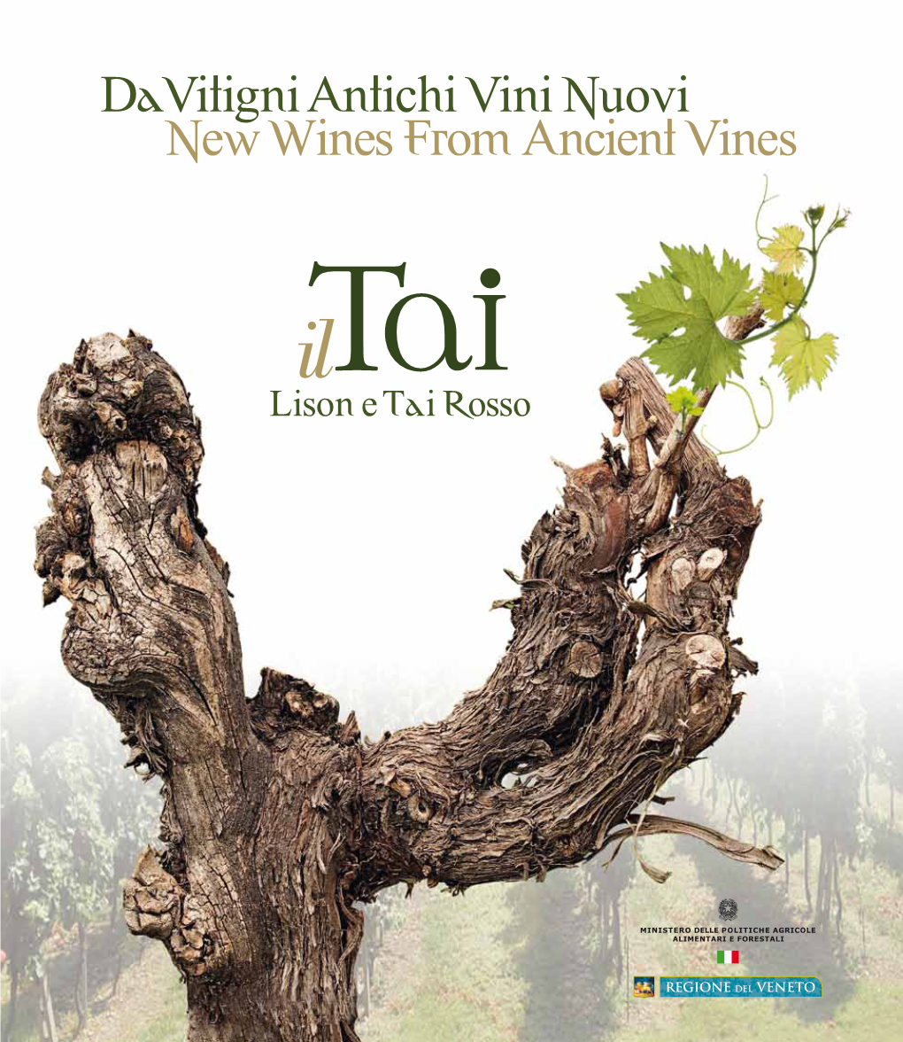 Da Vitigni Antichi Vini Nuovi New Wines from Ancient Vines