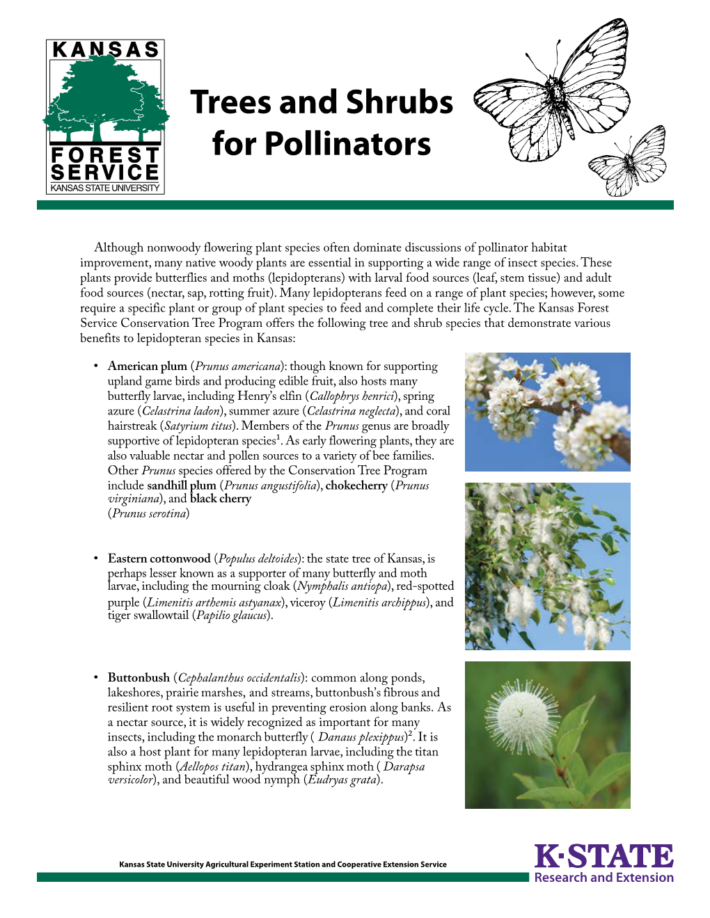 Trees and Shrubs for Pollinators