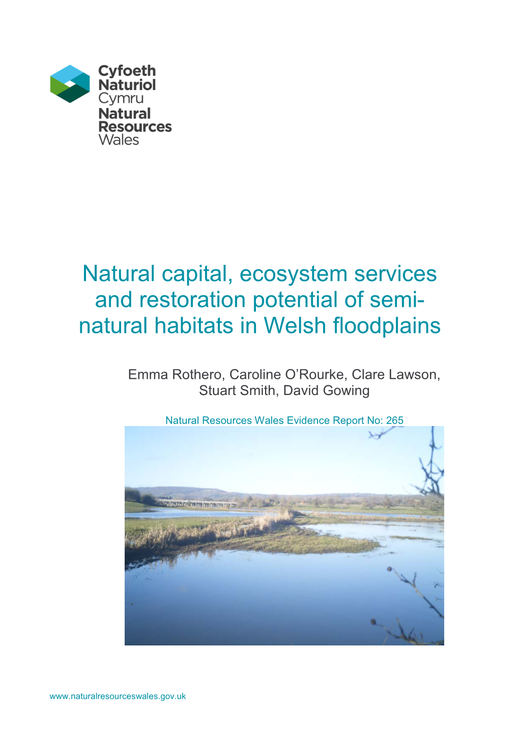Natural Capital, Ecosystem Services and Restoration Potential of Semi- Natural Habitats in Welsh Floodplains
