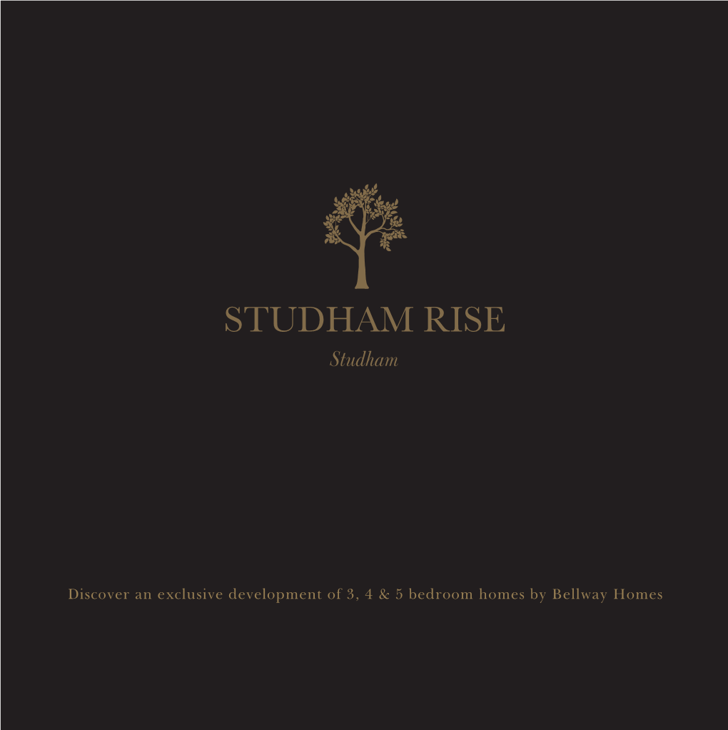146298 Studham Rise Brochure V5ph Layout 1 02/03/2015 11:34 Page 1