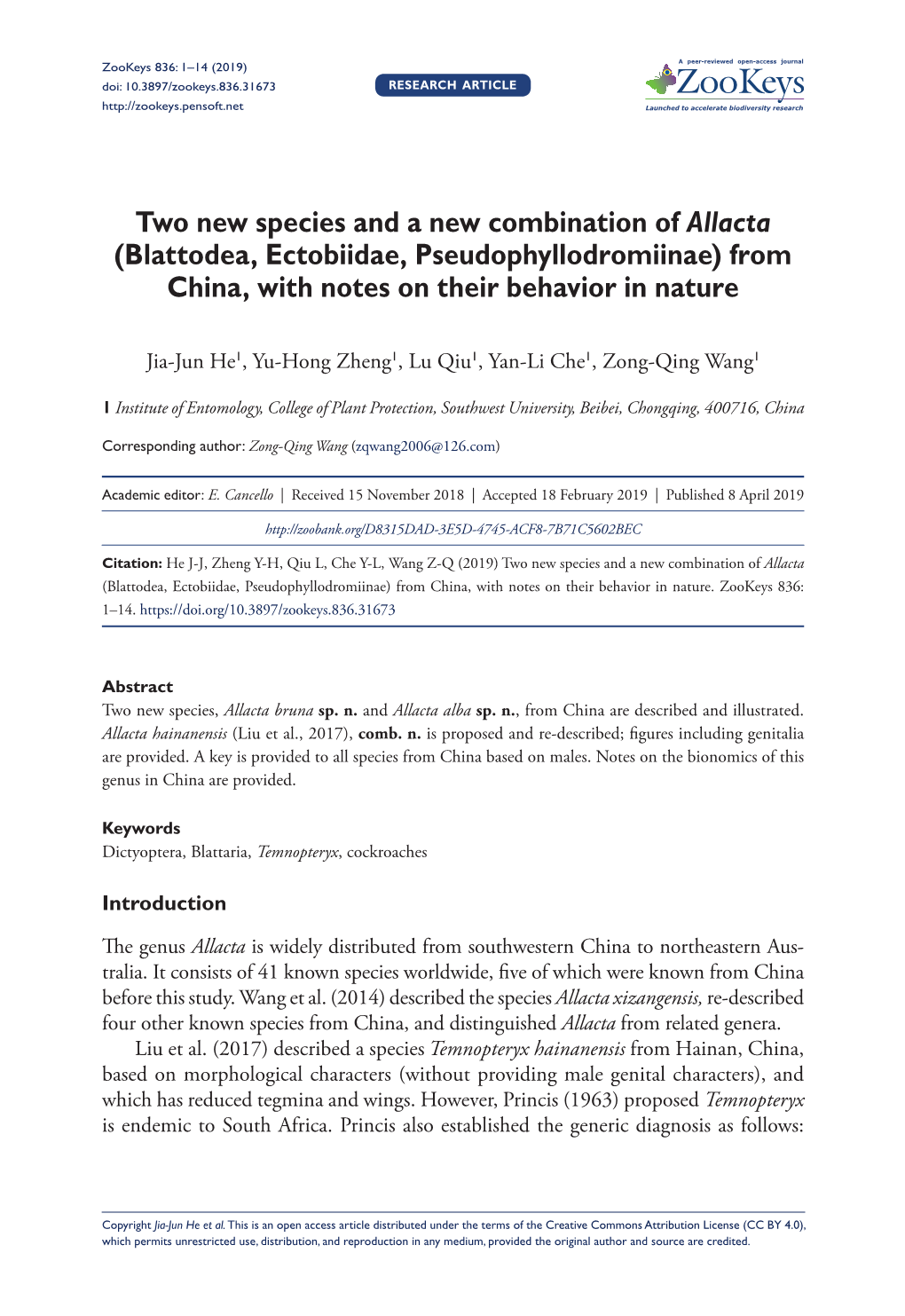 Blattodea, Ectobiidae, Pseudophyllodromiinae) from China, with Notes on Their Behavior in Nature