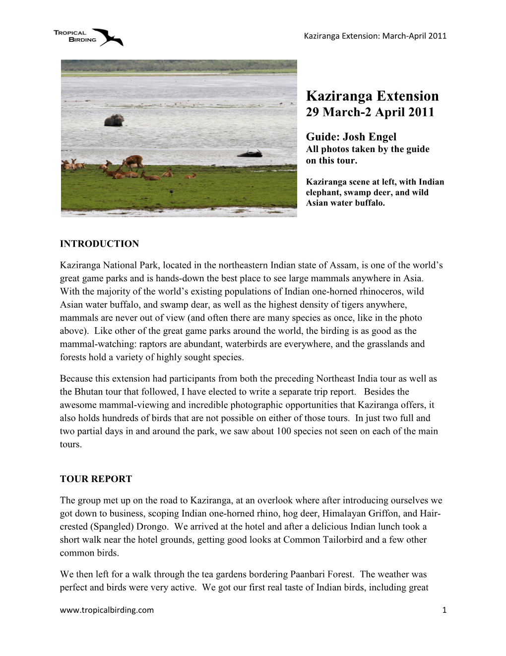 Kaziranga Extension: March-April 2011