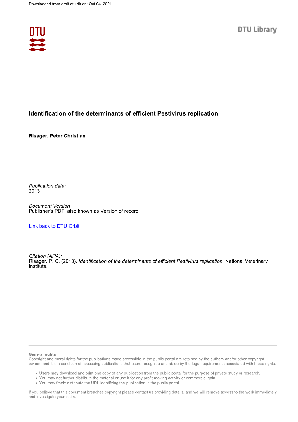 Identification of the Determinants of Efficient Pestivirus Replication