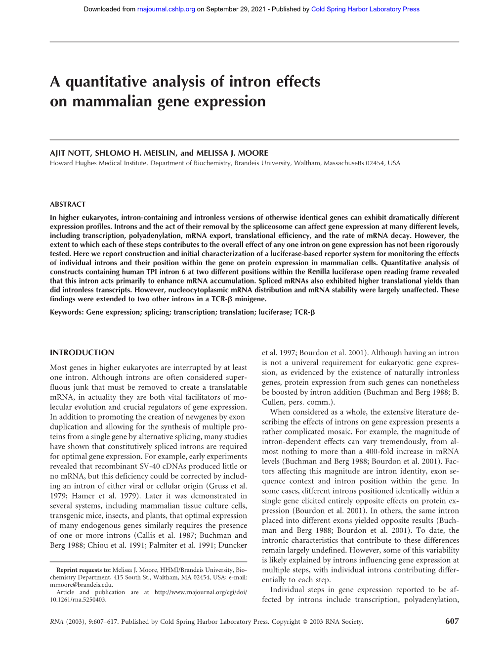 A Quantitative Analysis of Intron Effects on Mammalian Gene Expression