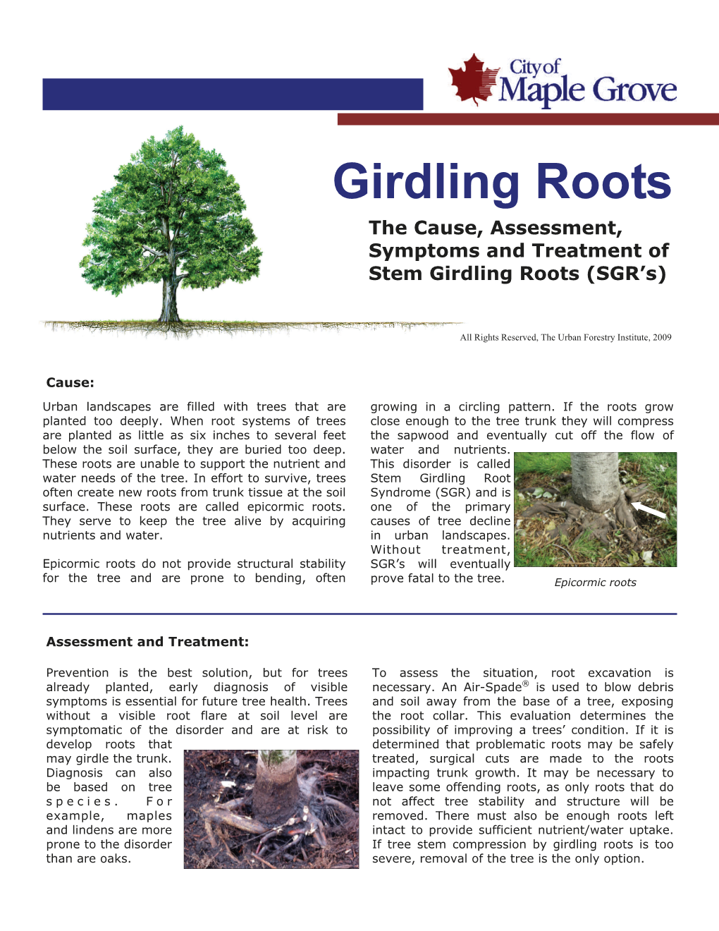 Girdling Roots the Cause, Assessment, Symptoms and Treatment of Stem Girdling Roots (SGR’S)