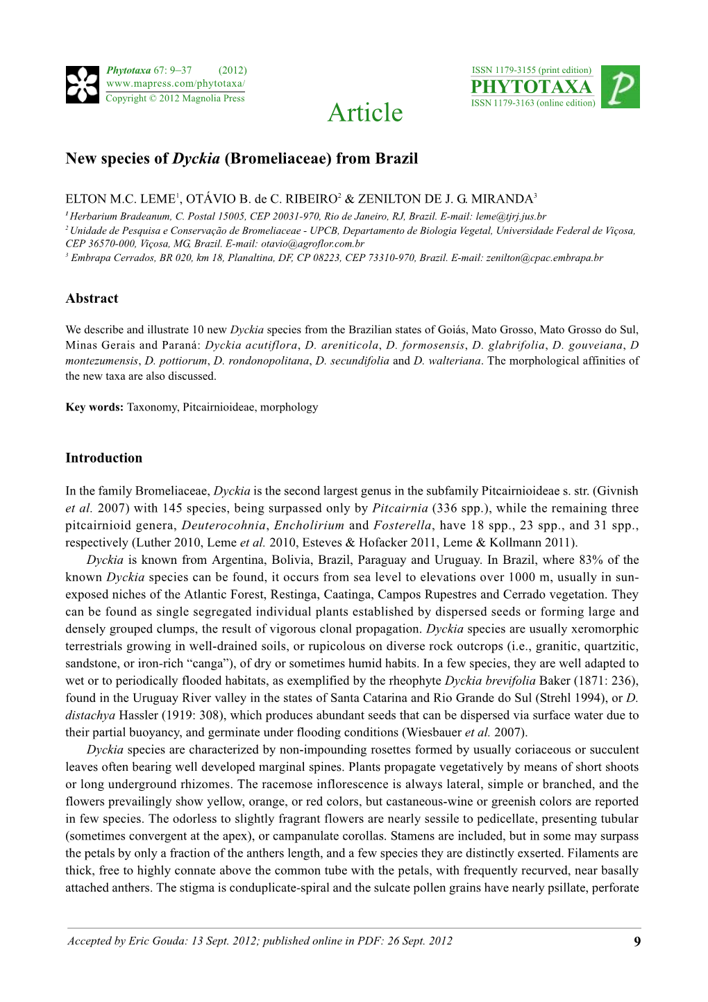 New Species of Dyckia (Bromeliaceae) from Brazil