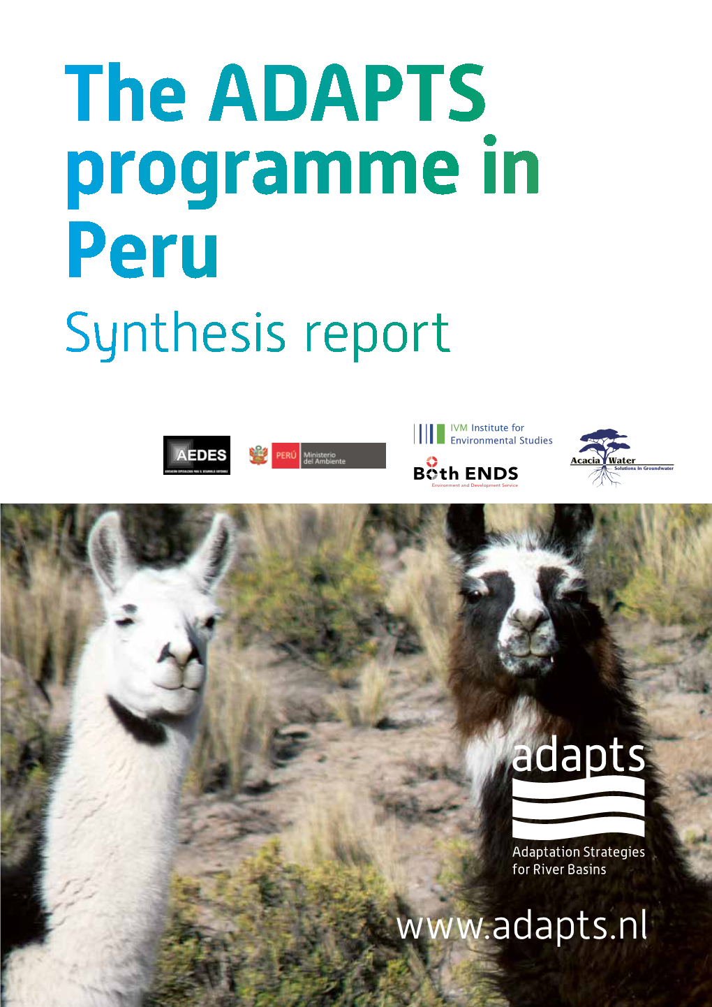 Synthesis Report Peru