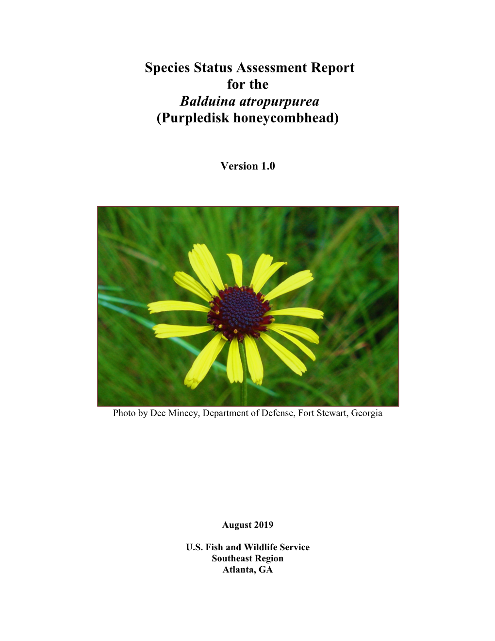 Species Status Assessment (SSA) Report for the Purpledisk Honeycombhead (Balduina Atropurpurea)