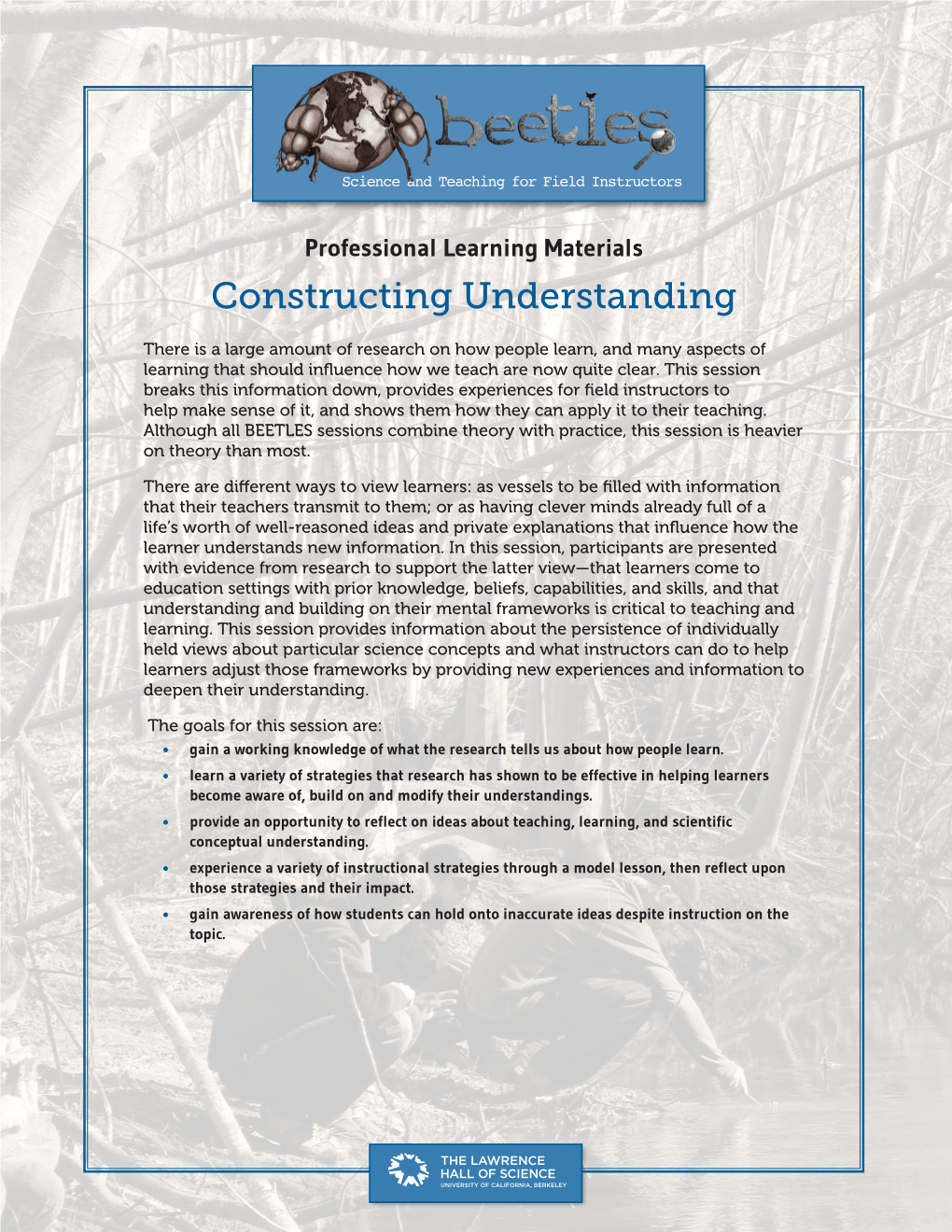 Constructing Understanding