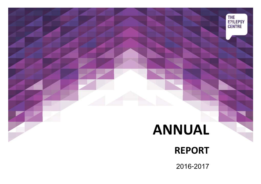 Report 2016-2017 I Have Epilepsy